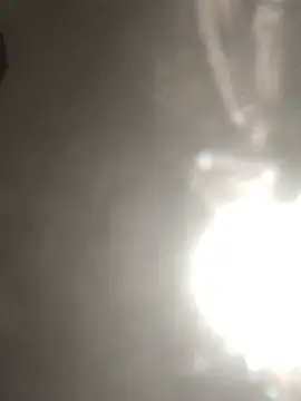 elpeluchenegroxxx3 webcam