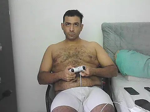 IronSideBear webcam