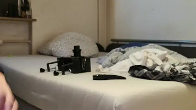 Alphapimmelchen webcam
