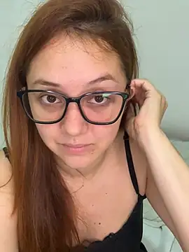 heizelll webcam