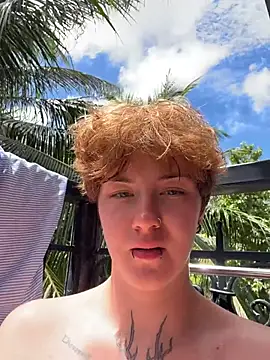 IceMur webcam