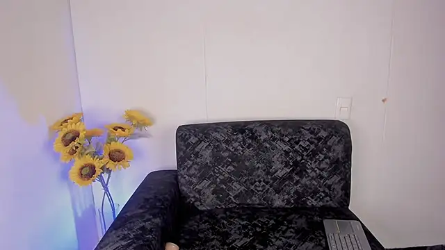 KenPrince_ webcam