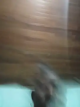 sandycollens_ webcam