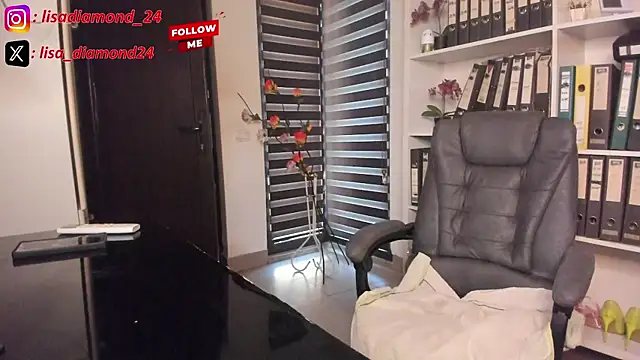 lisa2018 webcam