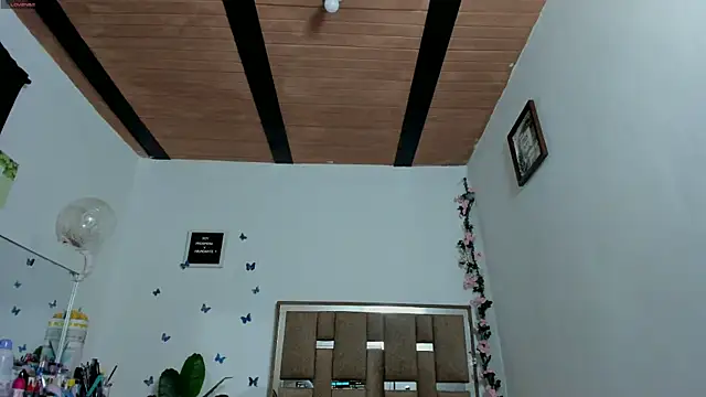 kendall-ewers webcam