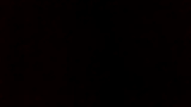 prettymonalisaRSA webcam