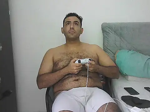 IronSideBear webcam