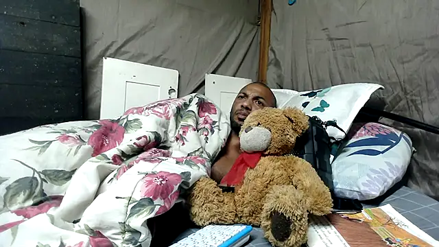 Camodick webcam