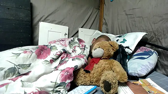 Camodick webcam