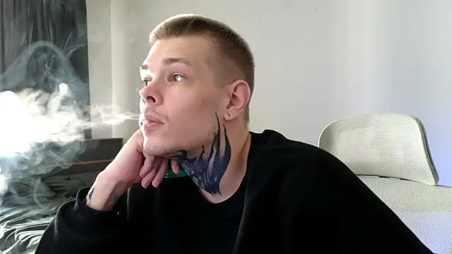 DENIS_HERE webcam