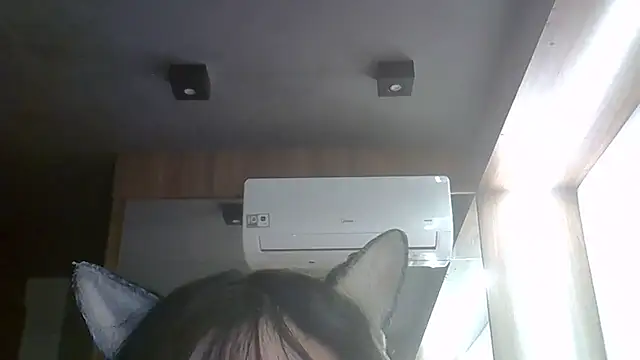 SkinnyKitten webcam