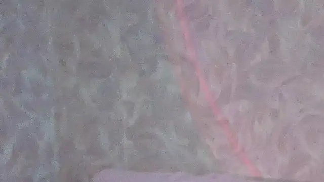 Omidodomi webcam