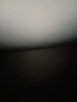 Lidia3590 webcam