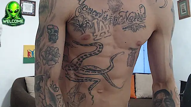 alpha_zom webcam
