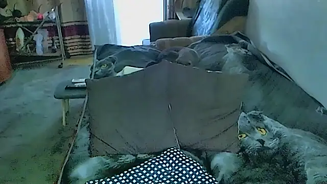 sex2 webcam