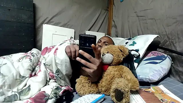 Camodick webcam