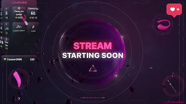 anitacruise webcam