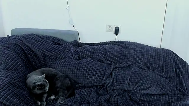 Dark_Moni webcam