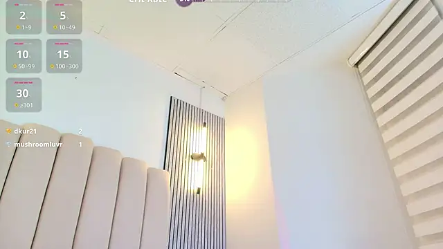 lian_cameron webcam