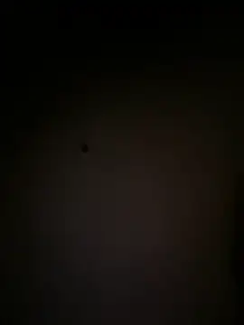babykypko live sex cam
