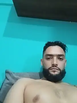 jonhdeere311 webcam