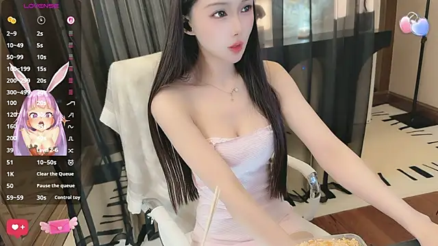 Aisi-20 webcam