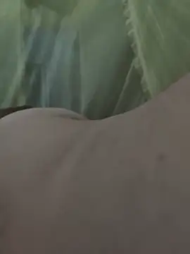 taylor1991V webcam