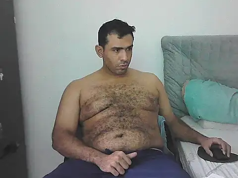 IronSideBear webcam