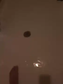 Beastyfuck webcam
