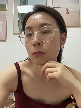you-520 webcam