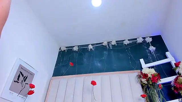 africa_holmes webcam