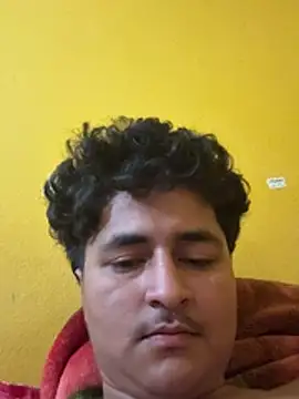 cannonWithMuscles webcam