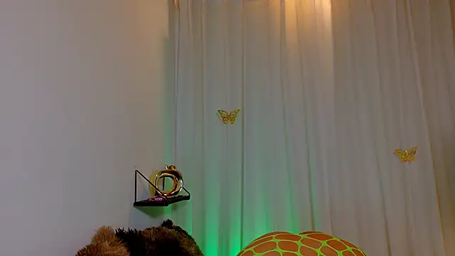 Kaaiiri webcam