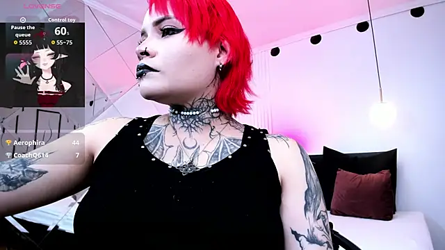 jinxv_nuss webcam