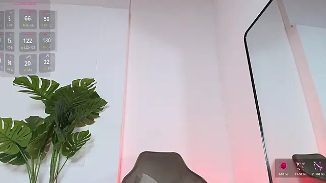 Kendall-Kith webcam