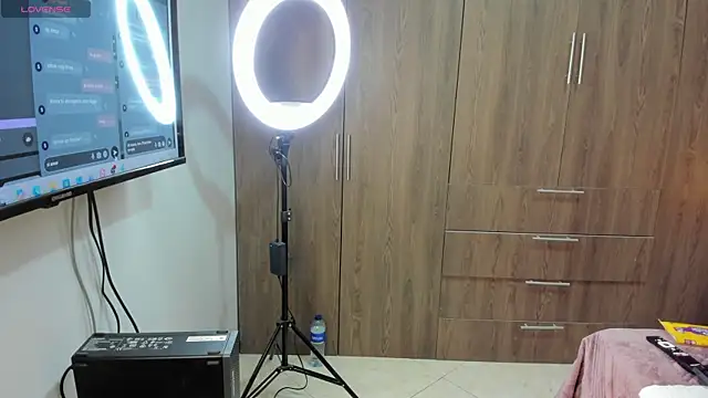 Tink_fox webcam