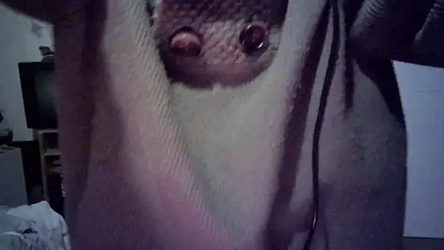 Emv2 webcam