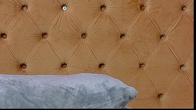 CoraVex webcam