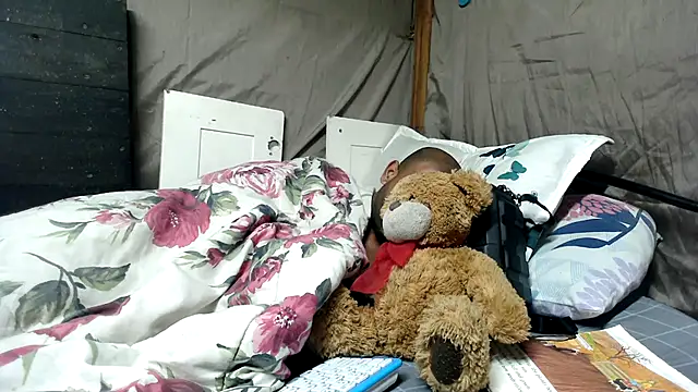 Camodick webcam