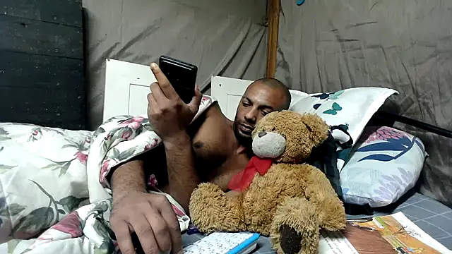 Camodick webcam