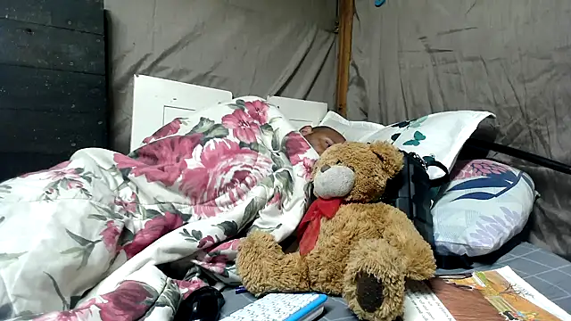 Camodick