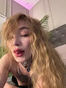 AriWild webcam