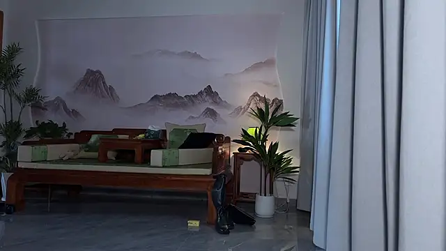 meowLili webcam