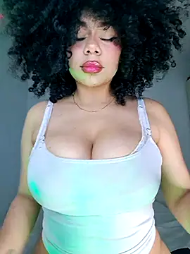 Yerystar webcam