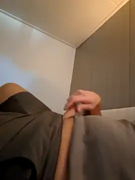 StouteSpaanse webcam