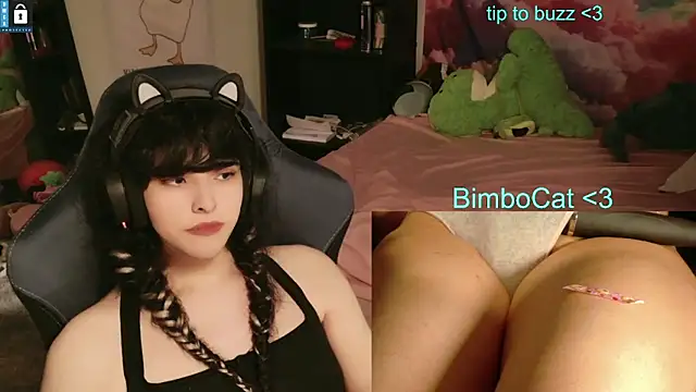 BimboCat webcam
