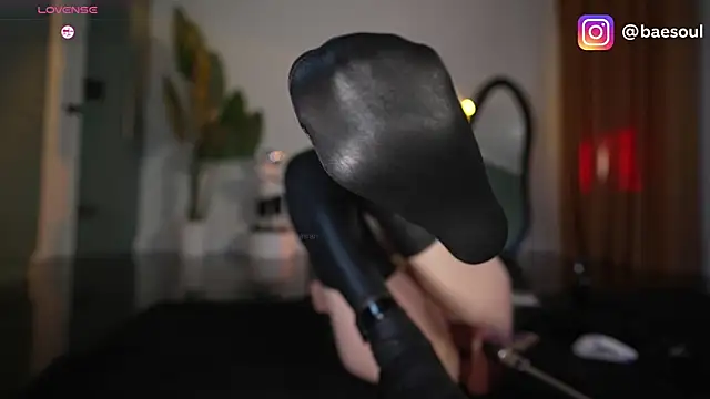baeasian webcam
