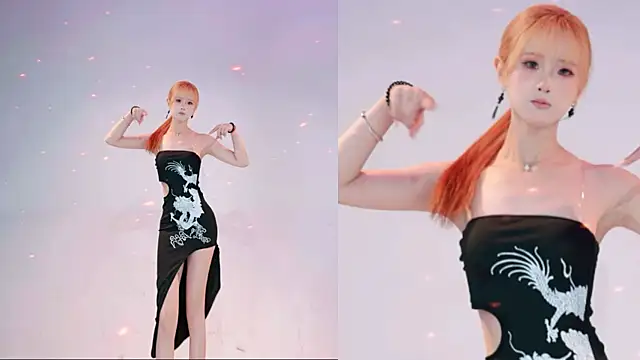 NEW-DAY webcam