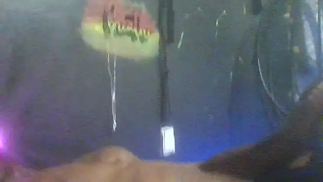 Yourfriendlyneighbor webcam