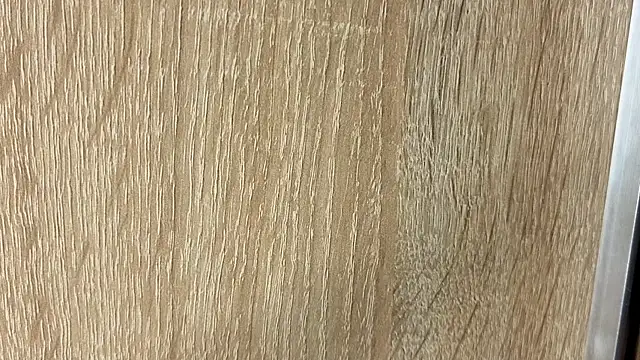 NoFace_Model webcam